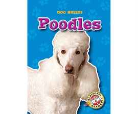 Cover image for Poodles