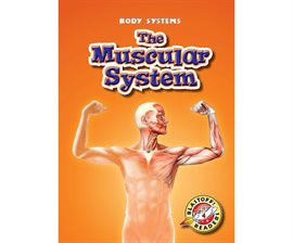 Cover image for The Muscular System