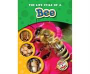 The life cycle of a bee cover image