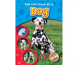Cover image for The Life Cycle of a Dog