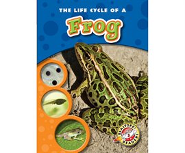 Umschlagbild für Life Cycle of a Frog