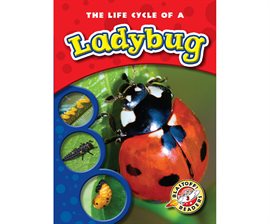 Imagen de portada para Life Cycle of a Ladybug
