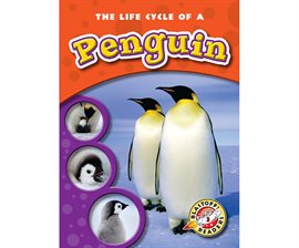 Umschlagbild für Life Cycle of a Penguin