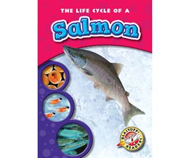 Umschlagbild für Life Cycle of a Salmon