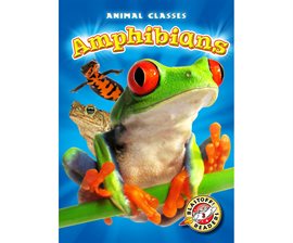 Cover image for Amphibians