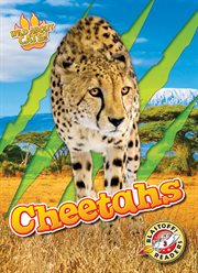 Cheetahs : Wild About Cats! cover image