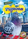 Pigeons cover image
