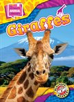 Giraffes cover image