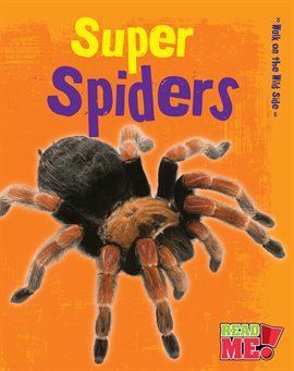 Cover image for Super Spiders