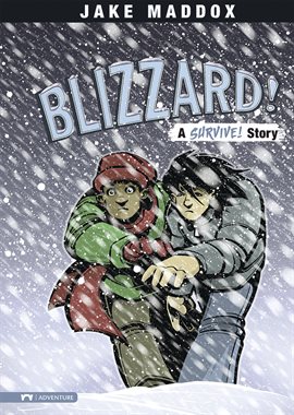 Cover image for Blizzard!