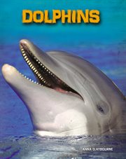 Dolphins cover image