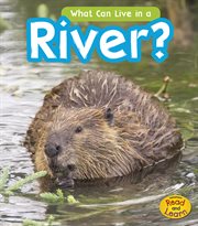 What can live in the river? cover image