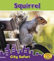 Squirrel : City Safari cover image