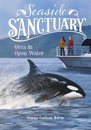 Orca in open water cover image