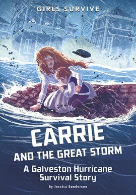 Cover image for Carrie and the Great Storm