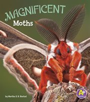 Magnificent moths cover image