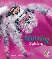 Stunning spiders cover image