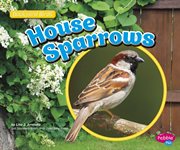 House sparrows cover image