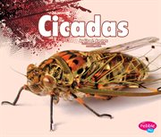 Cicadas cover image