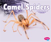Camel spiders cover image