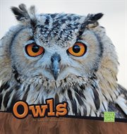 Owls : flat-faced flyers cover image