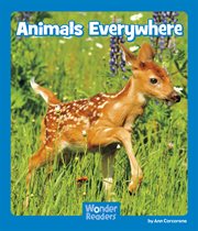 Animals everywhere cover image