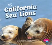 California sea lions cover image