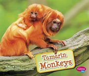 Tamarin monkeys cover image