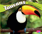 Toucans cover image