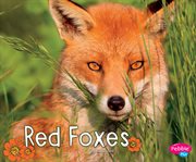 Red foxes cover image