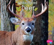 White-tailed deer cover image