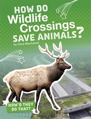 How do wildlife crossings save animals? cover image