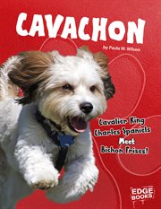 Cavachon : Cavalier King Charles spaniels meet bichon frises! cover image
