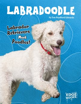 Cover image for Labradoodle