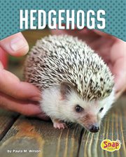 Hedgehogs cover image