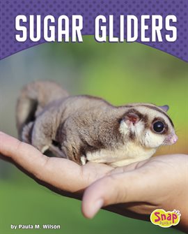 Cover image for Sugar Gliders