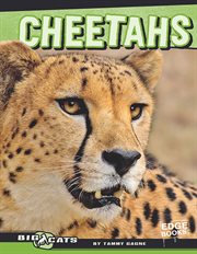 Cheetahs cover image