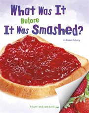 What was it before it was smashed? cover image