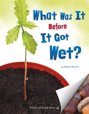 What was it before it got wet? cover image