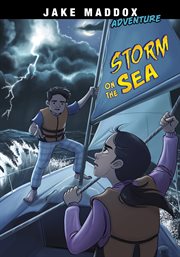 Storm on the sea cover image