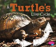 A turtle's life cycle cover image