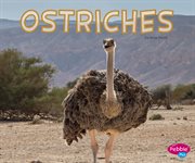 Ostriches cover image