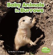 Baby animals in burrows cover image