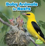 Baby animals in nests cover image