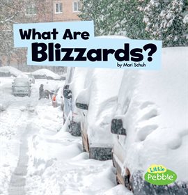 Cover image for What Are Blizzards?