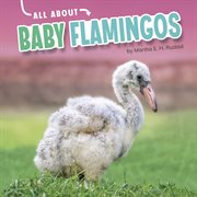 All About Baby Flamingos : Oh Baby! cover image