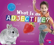 What Is an Adjective? : Parts of Speech cover image