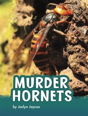 Murder Hornets : Animals (Capstone) cover image