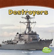 Destroyers : a 4D book cover image