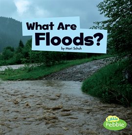 Cover image for What Are Floods?